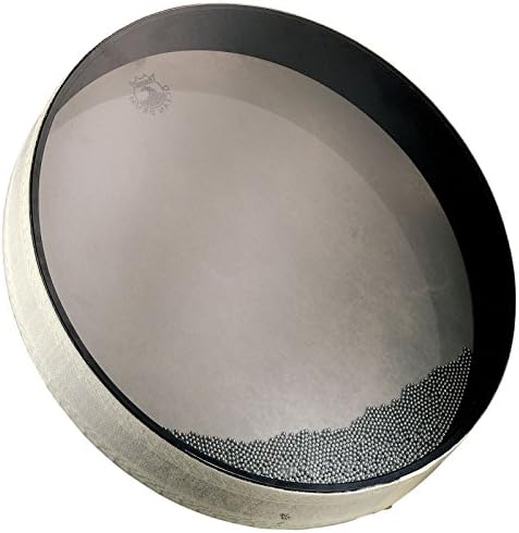 Amazon.com: Remo Ocean Drum - Fish Graphic, 12